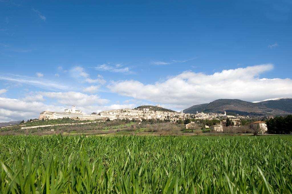 אסיסי Hotel Properzio שירותים תמונה